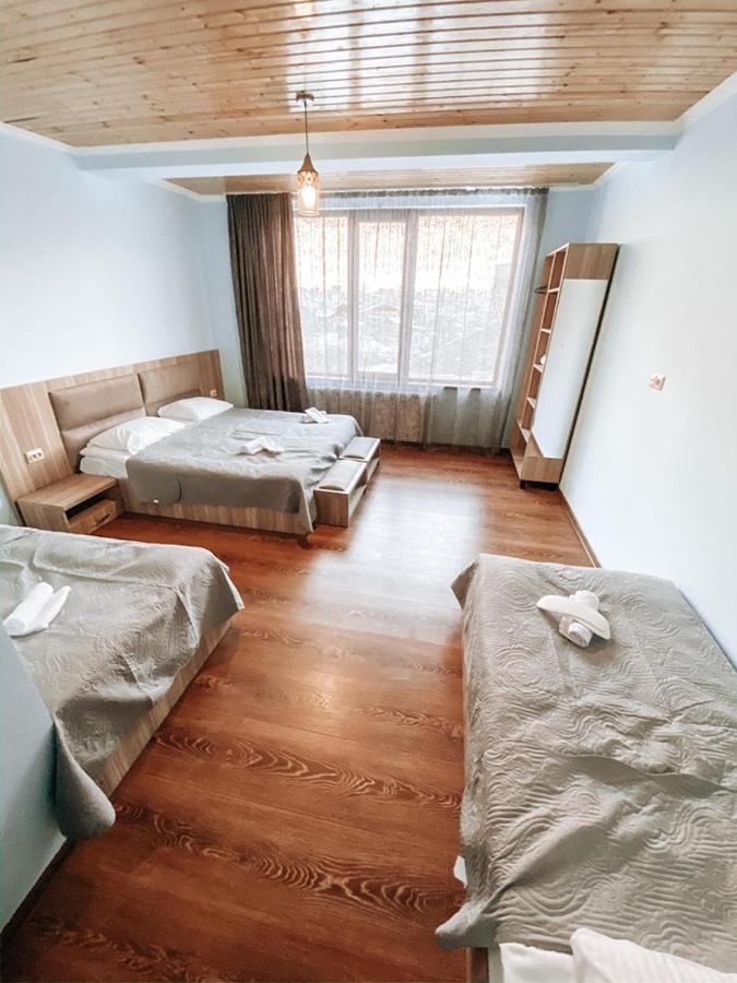 Hotel Panorama Svaneti メスティア エクステリア 写真